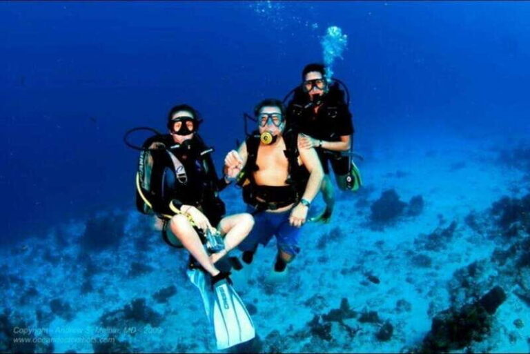 Cancún: Cozumel 2-Tank Diving Tour with Lunch & Transfers - What Makes This Tour Stand Out?