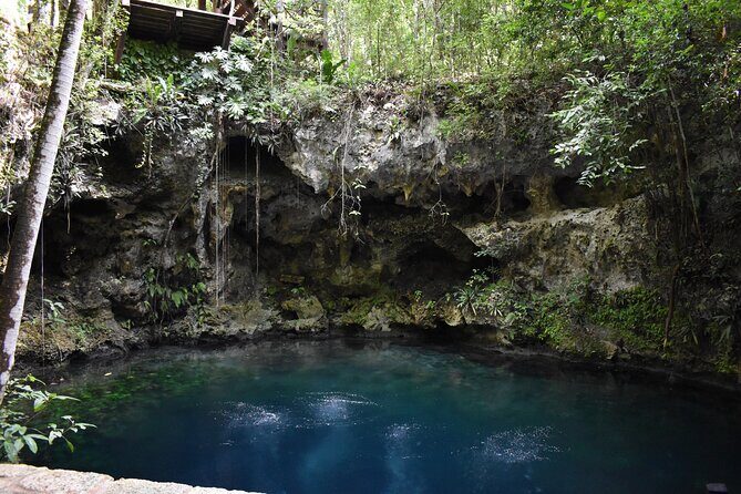 Cancun: Discover the Hidden Treasures: Exploring 3 Jungle Cenotes - The Sum Up