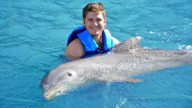 Cancún: Dolphin Encounter on Isla Mujeres with Buffet - The Experience: What Really Happens