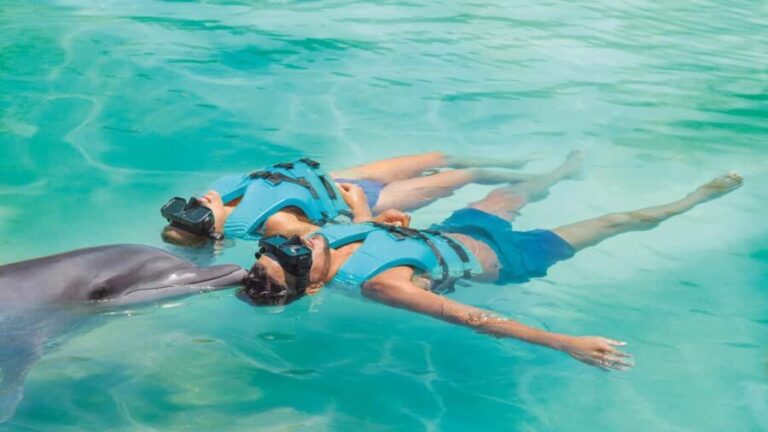 CANCUN: Dolphin Swim Adventure with buffet and soft drinks - Practical Details and Considerations
