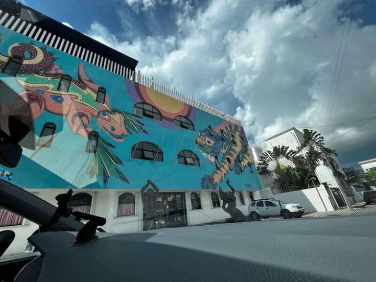 Cancun Downtown Evening Walking Tour - Who Should Sign Up?