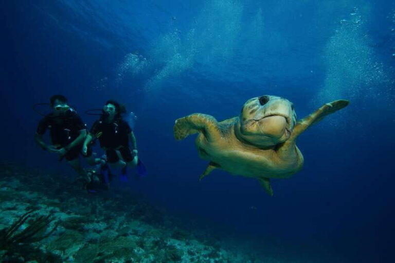 CANCUN: FIRST TIME DIVERS CANCUN - Detailed Breakdown of the Experience