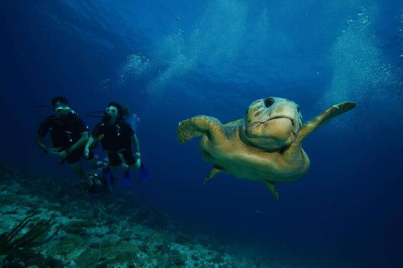 CANCUN: FIRST TIME DIVERS CANCUN - Detailed Breakdown of the Experience
