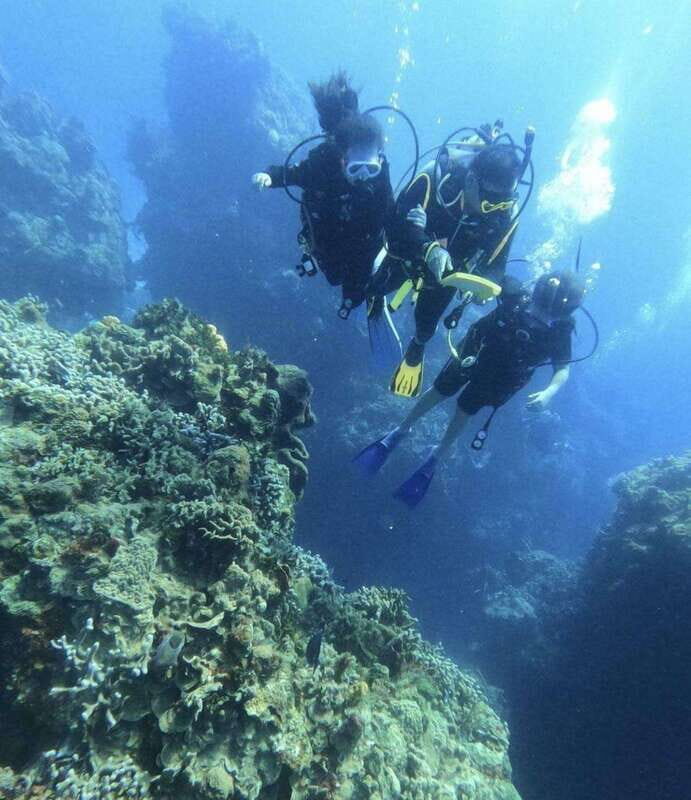 Cancun: Goliat Grouper Dive Adventure - Why It’s a Great Choice