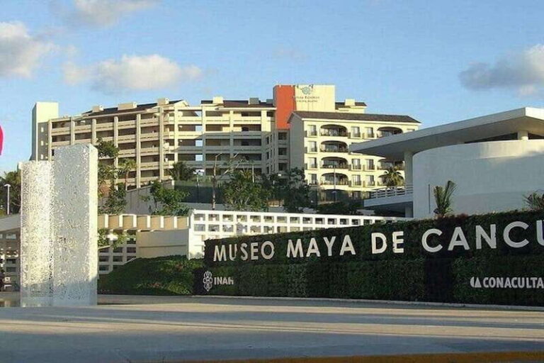 Cancun Guided Sightseeing, Shopping and Tasting Tour - The Pickup and Transportation