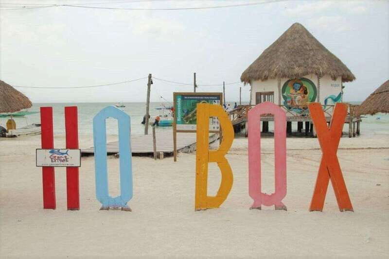Cancun: Holbox Island Birdwatching and Wildlife Adventure - What to Expect at "Little Bird Island" and Beyond