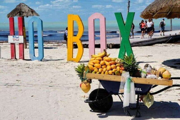 Cancun: Holbox plus Island, Punta Mosquito Trip with Lunch - Detailed Itinerary Breakdown