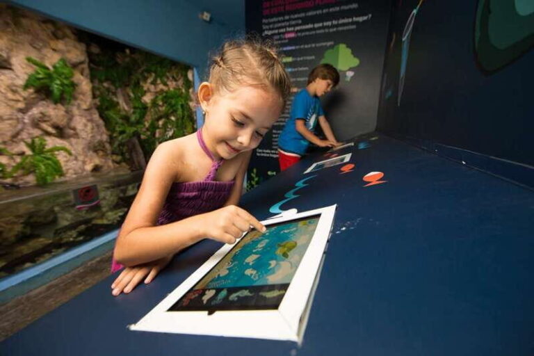 Cancún: Interactive Aquarium Admission - The Experience: Pros and Cons