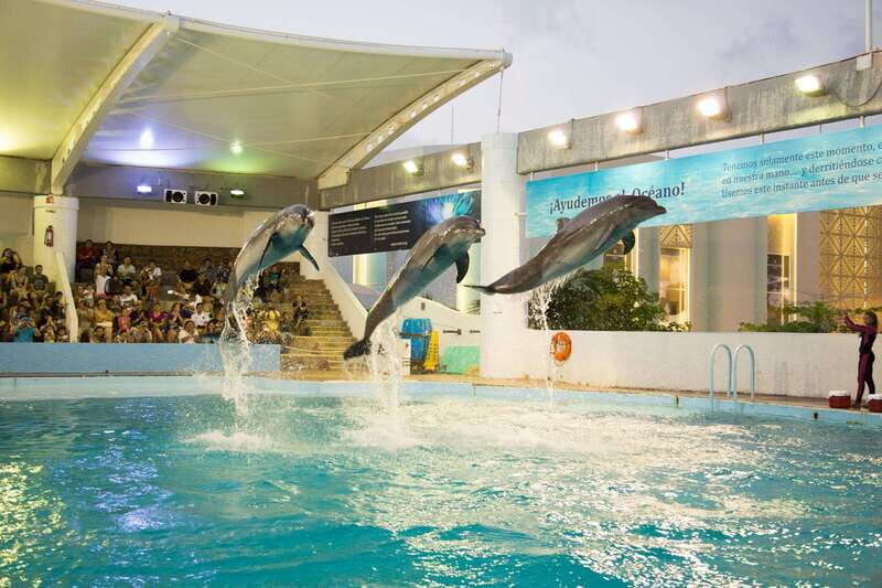 Cancún Interactive Aquarium Admission + Dolphin Presentation