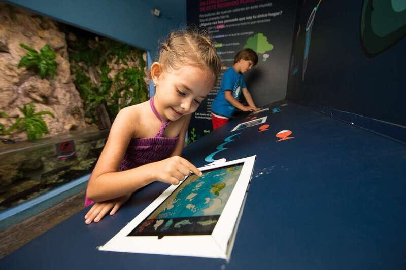 Cancún: Interactive Aquarium Admission - The Experience: Pros and Cons