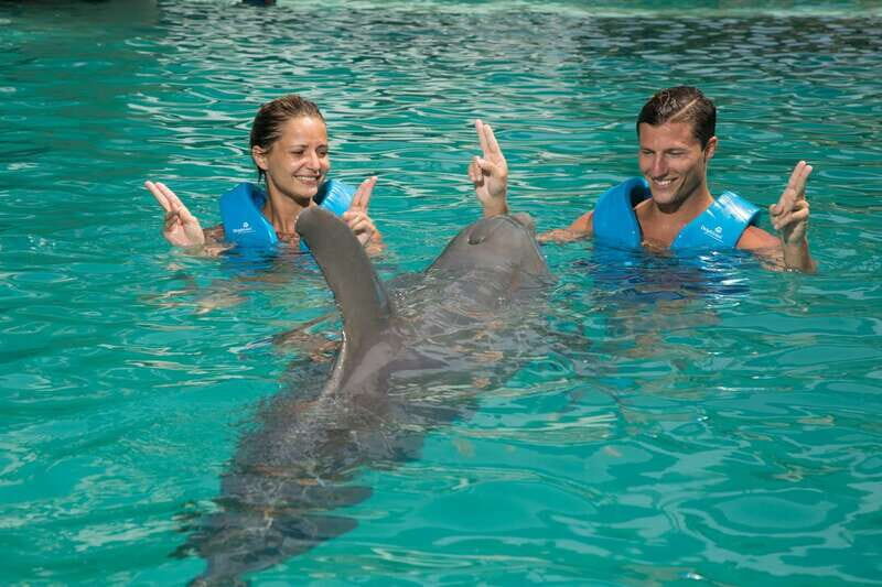 Cancun: Interactive Aquarium - Swim with Dolphins Premium