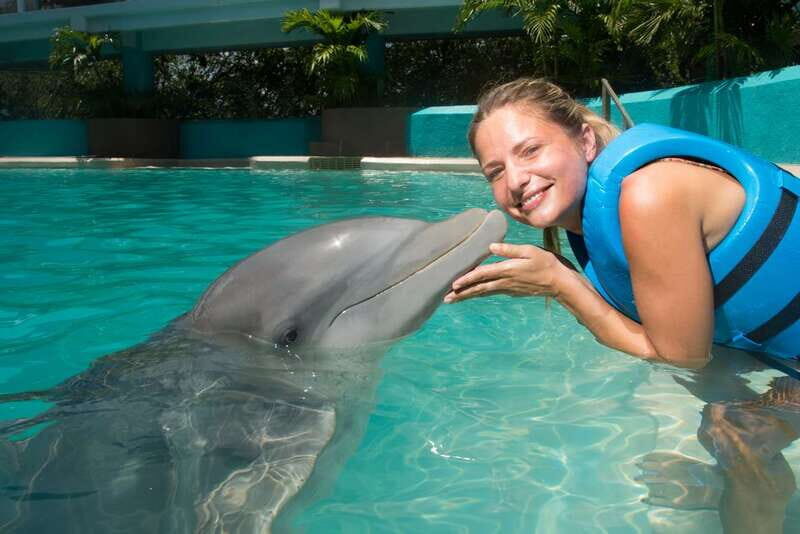 Cancun: Interactive Aquarium - Swim with Dolphins Splash - Value for Money: Is It Worth It?