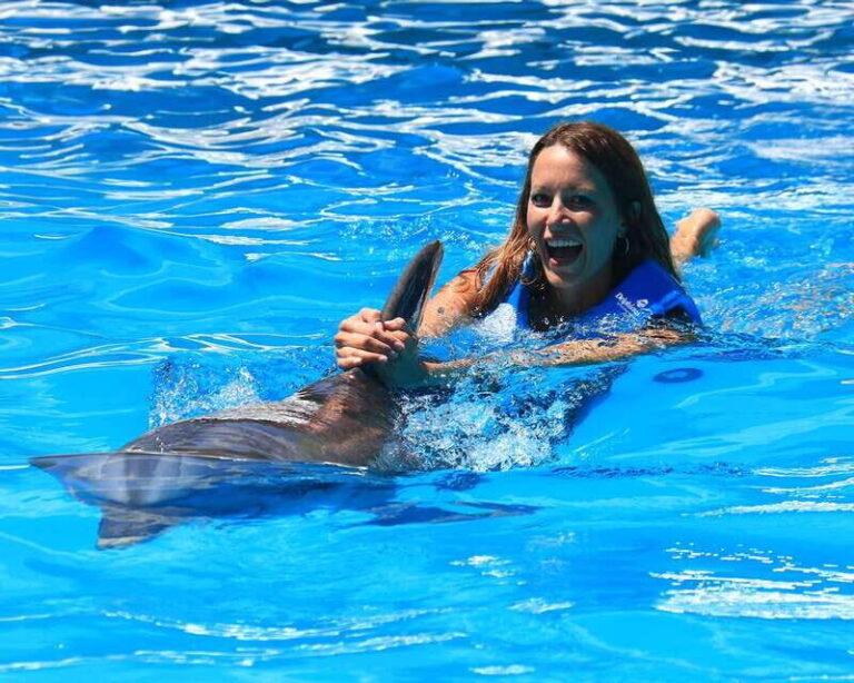 Cancun: Interactive Aquarium Ticket and Swim with Dolphins - Why This Tour Works Well