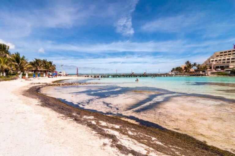 Cancun: Isla Mujeres All-Inclusive Catamaran with pick-up - Key Points