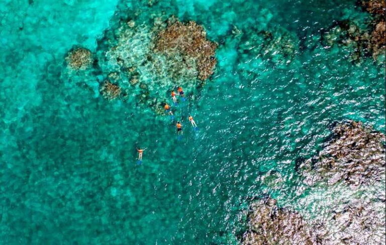Cancun: Jungle Tour Adventure with Speedboat and Snorkeling - Final Thoughts