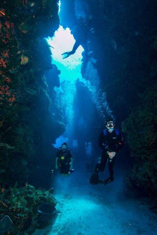 Cancun: Lionfish Expedition Package - Starting with the Cenotes: Surreal Underwater Caves and Sinkholes