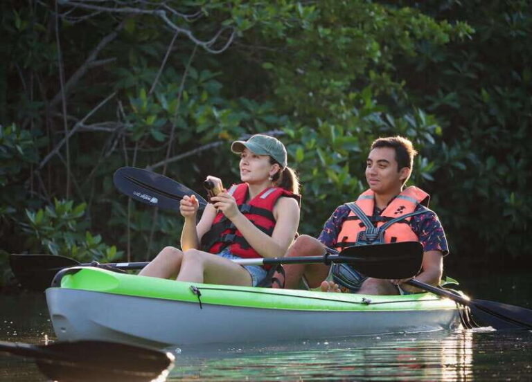 Cancun: Morning Kayak Adventure - In-Depth Breakdown of the Tour Experience