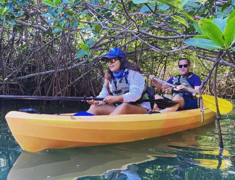Cancún: Morning or Sunset Kayak Adventure in Nichupte Lagoon - The Experience of the Environment