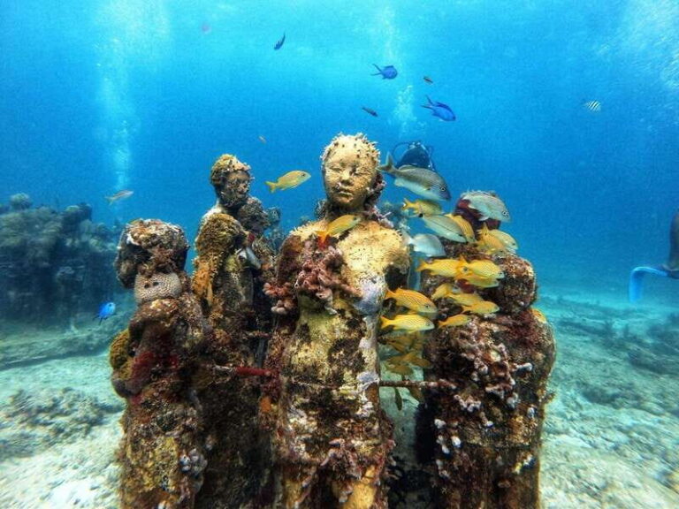 Cancun: Musa Underwater Museum & Reef Discover Scuba Diving - What Makes This Tour Stand Out?