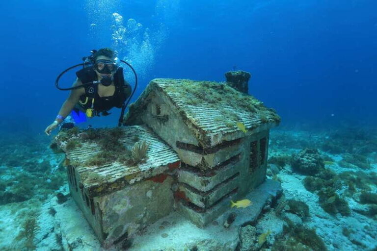 Cancun: Scuba Diving for Beginners, 2 Dives - What to Expect: A Step-by-Step Breakdown