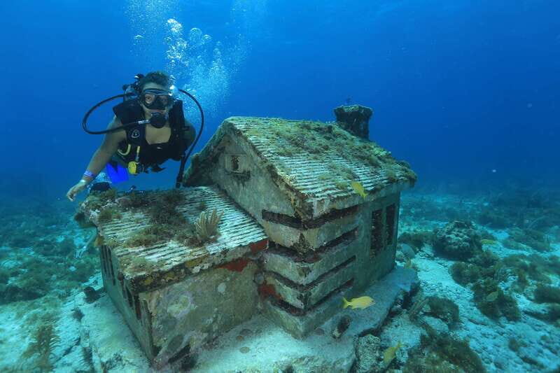 Cancun: Scuba Diving for Beginners, 2 Dives - What to Expect: A Step-by-Step Breakdown