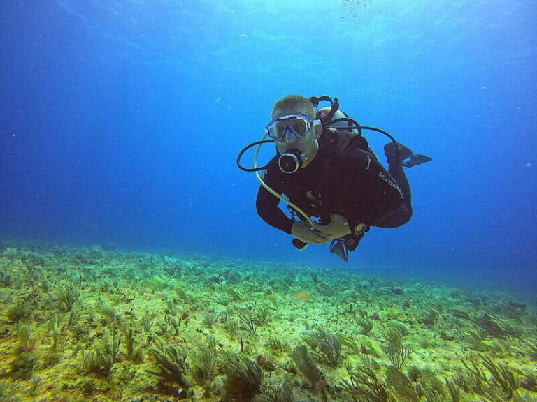Cancun: Scuba Diving for Certified Divers, 3 options to dive - Why This Tour Adds Value