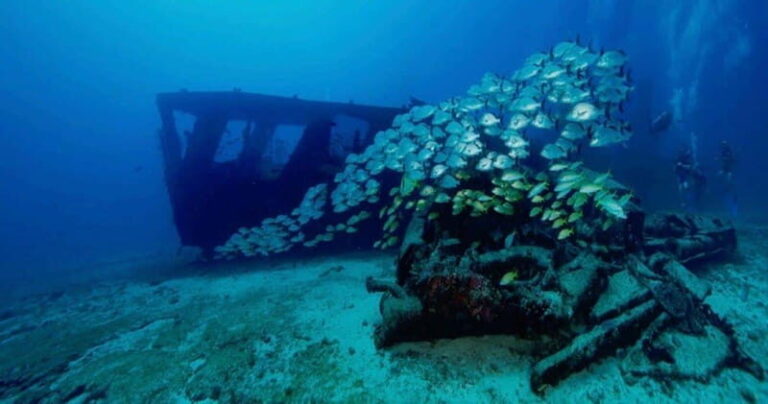 Cancun: Shipwreck and Reef Dives - Why this tour is worth considering