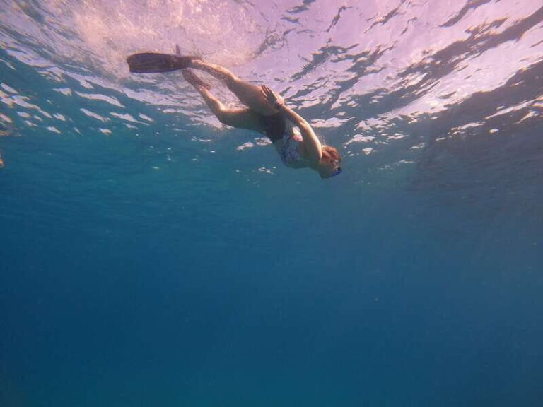 Cancun: Snorkel in MUSA Undewater Museum and Reef - The Pros and Cons