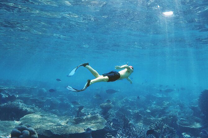 Cancun: Snorkeling Adventure at Puerto Morelos Reef - Key Points