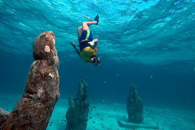 Cancun Snorkeling Adventure: Underwater Museum, Reef & Shipwreck - What’s Included and Why It Matters