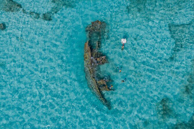 Cancun Snorkeling Tour: Swim with Turtles, Reef, Underwater Museum and Shipwreck - Why This Tour Delivers on Value