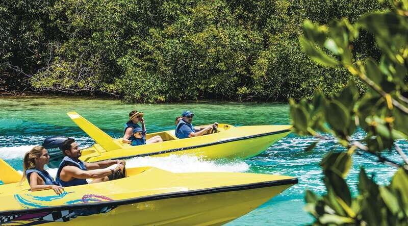 Cancun: Speedboat Mangrove Jungle & Snorkel Tour
