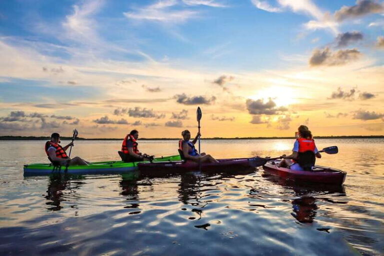 Cancun: Sunset Kayak Experience in the Mangroves - The Bottom Line