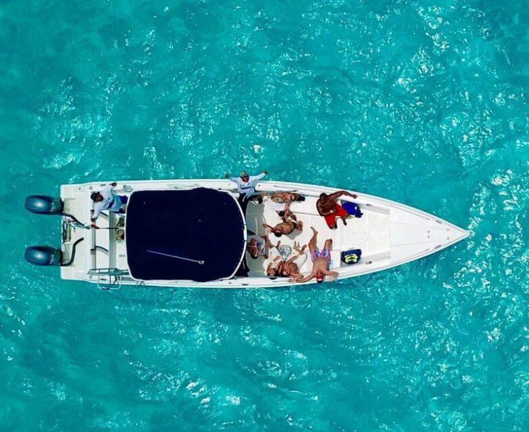 Cancún: Swim with Whale Sharks & Playa Norte Beach - Analyzing the Value