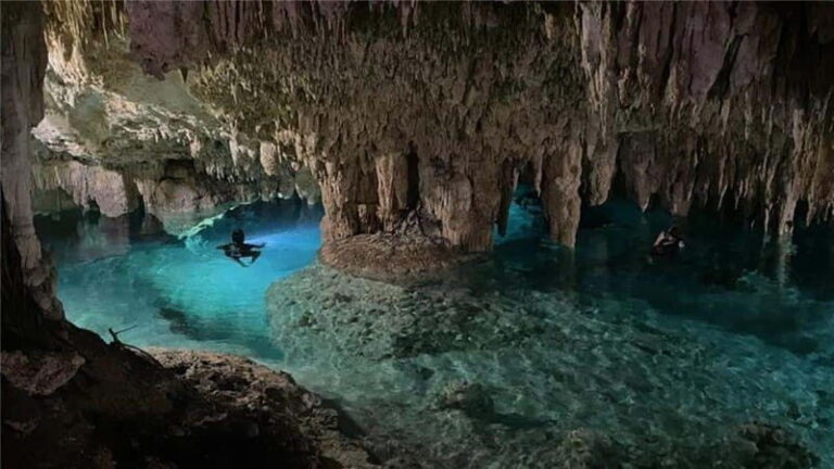 Cancun: Tulum & Cenotes Private Tour - The Practicalities: What’s Included, What’s Not