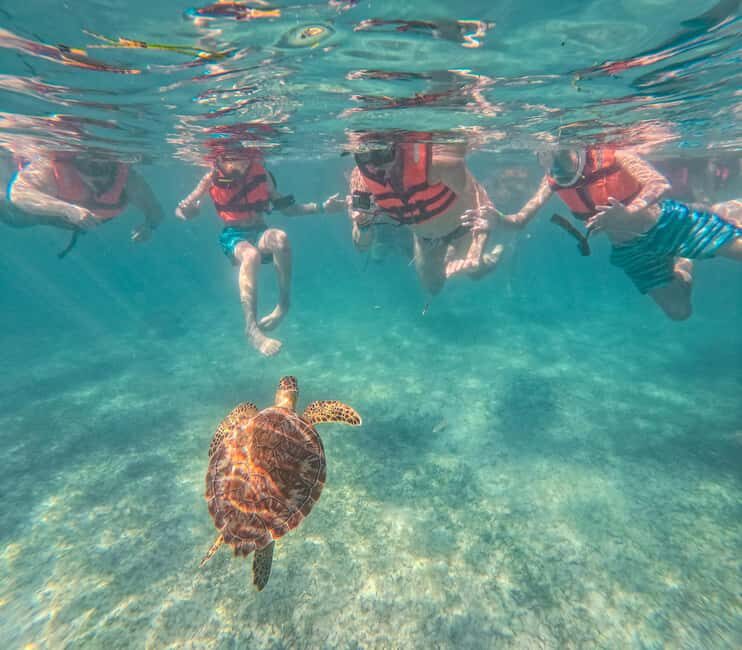 Cancun: Tulum Ruins, Akumal Turtles, Cenote & Caves Tour - The Practicalities: What’s Included and What’s Not