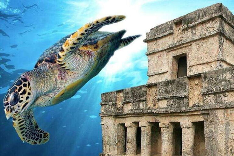 Cancun: Tulum Ruins & Snorkeling with Sea Turtles Tour - Is This Tour Worth It?