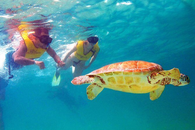 Cancun Ultimate Adventure: ATV's, Snorkeling & Zip Lines - FAQ