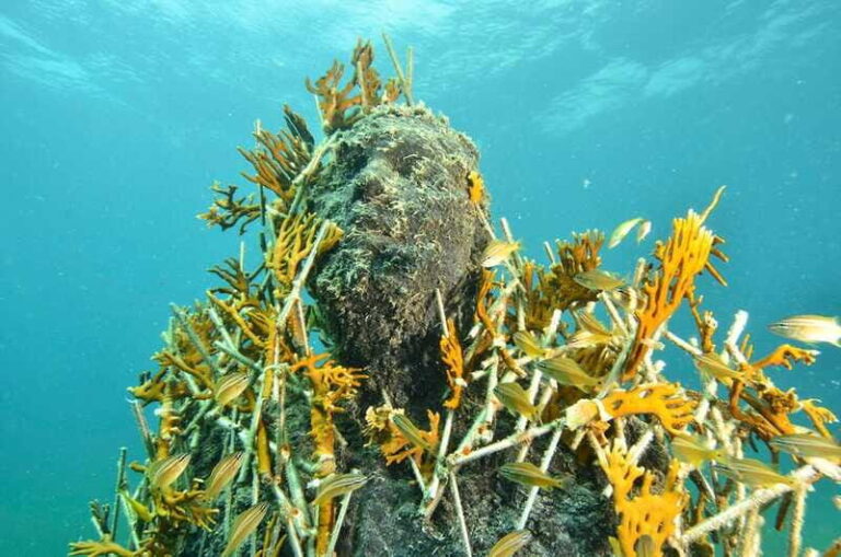 Cancún: Underwater Museum & Reef for Certified Scuba Divers - The Sum Up