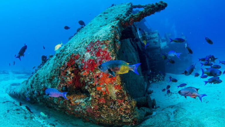 Cancún: Wreck and Reef for Certified Scuba Divers - What Makes This Tour Special