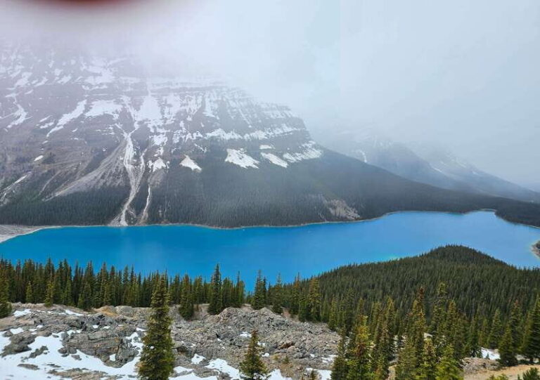 Canmore/Banff: Columbia Icefield, Skywalk, Peyto Day Tour - What’s Included and What’s Not