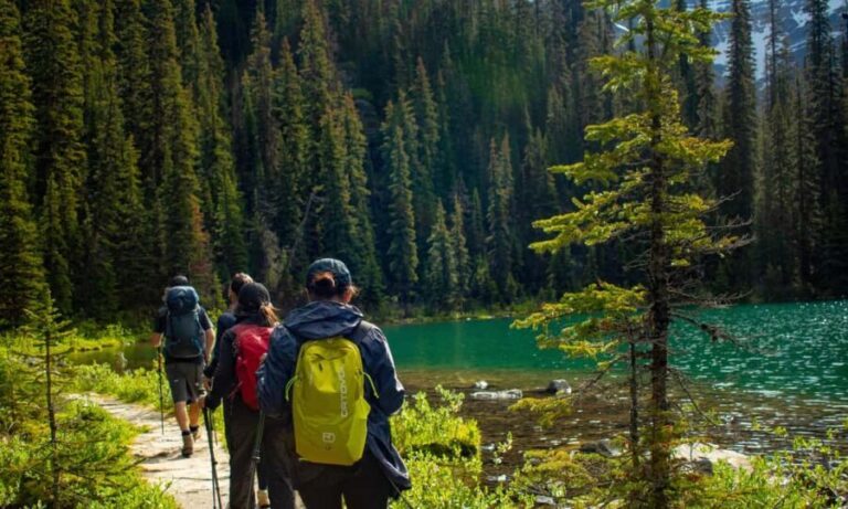 Canmore/Banff: Premium hiking tours in Banff region - Break down of the itineraries