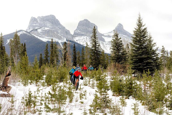 Canmore Explore Winter Wildlife Tracks 2hr Nature Walk - Who Should Consider This Tour?