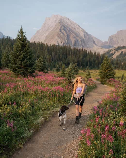 Canmore: Medicinal and Edible Plants, 2-hour Nature Walk - In-Depth Look at the Experience
