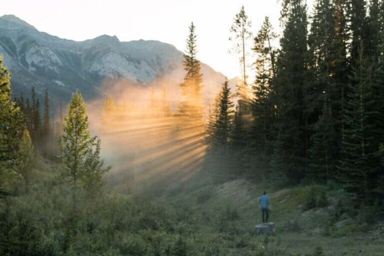 Canmore: Sunset Tour and Evening Nature Walking - The Value of the Experience