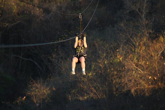 Canopy Zipline Tour in Punta Mita - Analyzing the Value