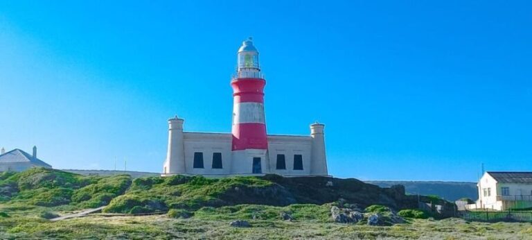 Cape Agulhas Full Day Private Tour - Who Will Love This Tour?