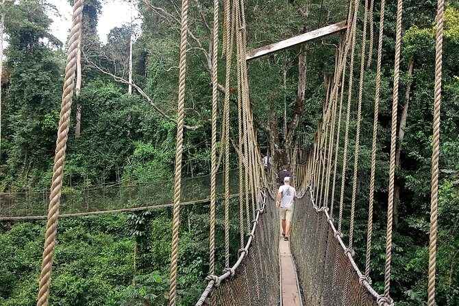 Cape Coast Day Tour From Accra - Who Should Consider This Tour