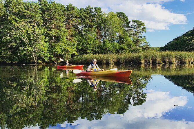 Cape Cod Kayak Rentals in the Great Marsh - Who Will Love This Experience