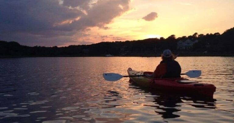 Cape Cod: Sunset Kayak Tour - Who Will Enjoy This Tour?